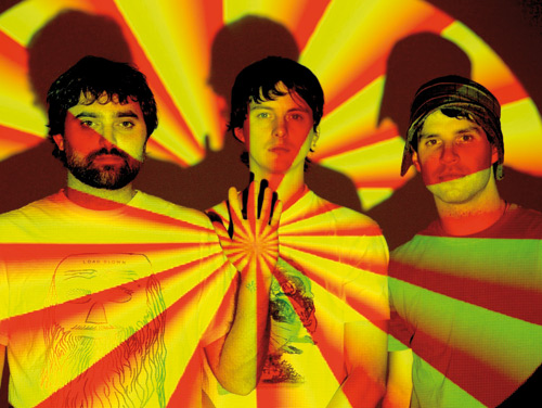 ANIMAL COLLECTIVE