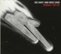 DIE HAUT AND NICK CAVE