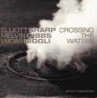 ELLIOTT SHARP/MELVIN GIBBS/LUCAS NIGGLI