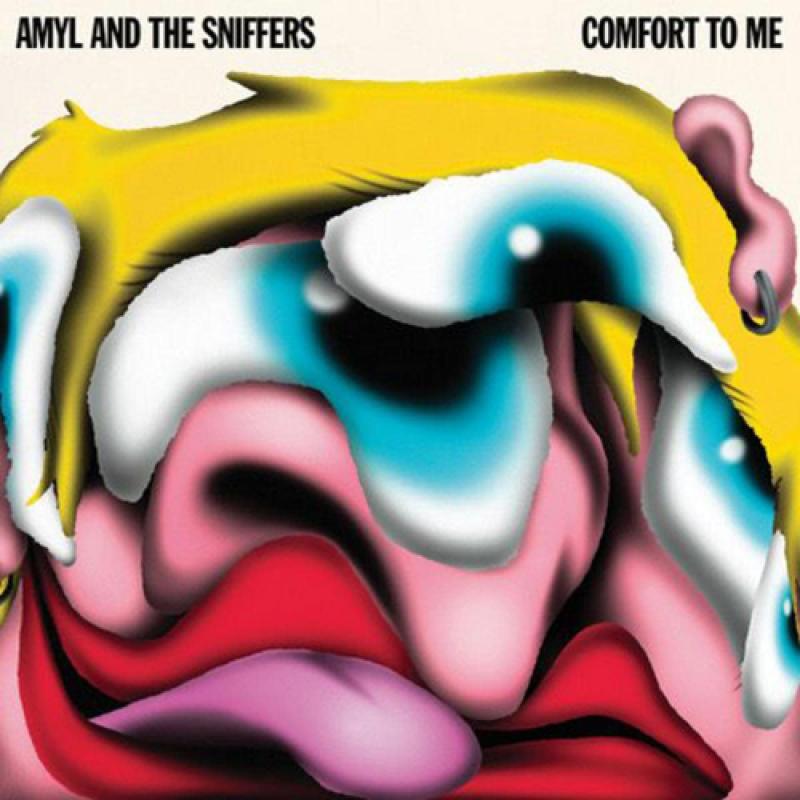 AMYL & THE SNIFFERS