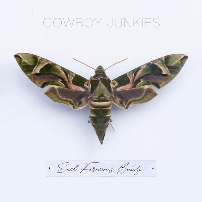 COWBOY JUNKIES