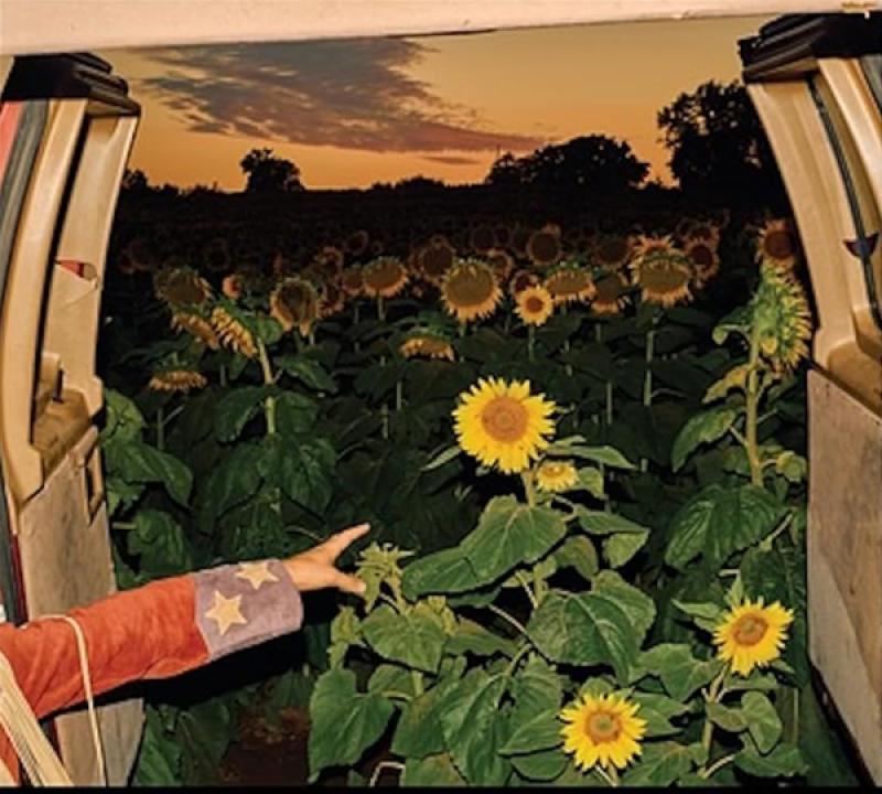 KEVIN MORBY